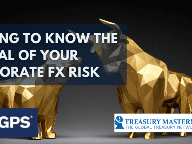 Getting to Know the Animal of your Corporate FX Risk