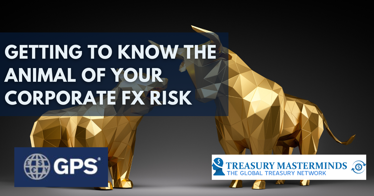 Getting to Know the Animal of your Corporate FX Risk