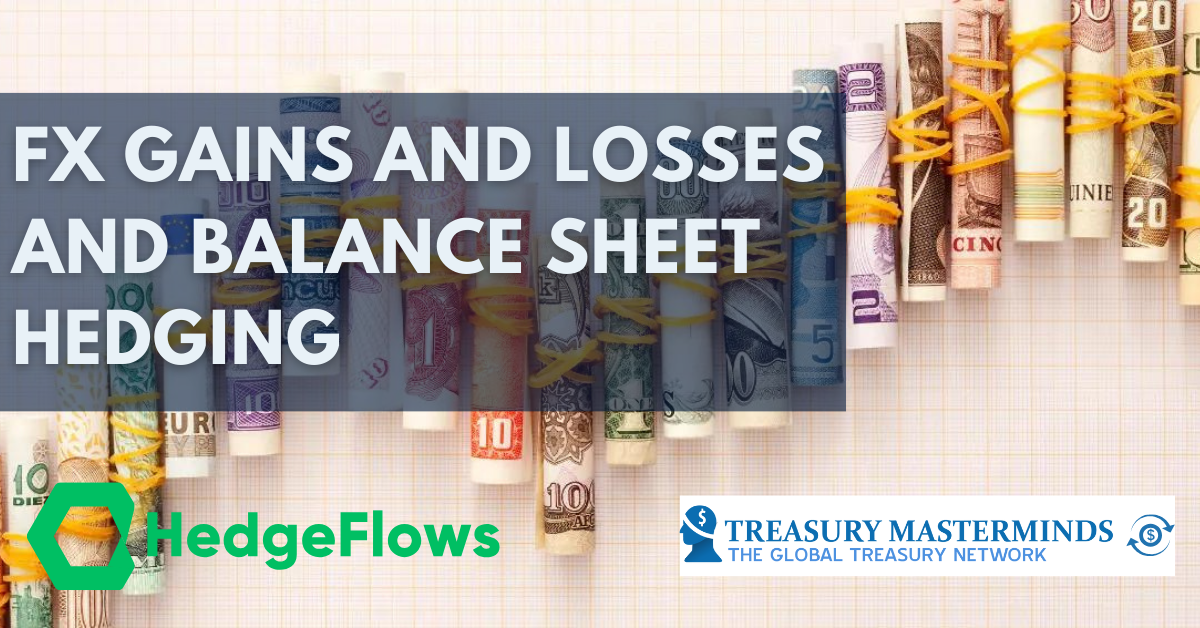 FX Gains and Losses and Balance Sheet Hedging