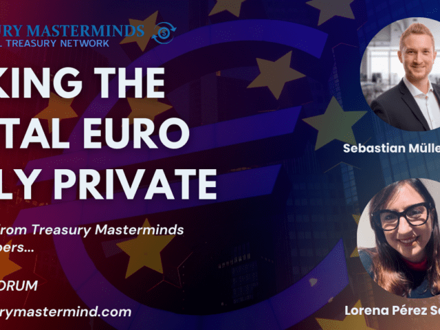 Making the Digital Euro Truly Private