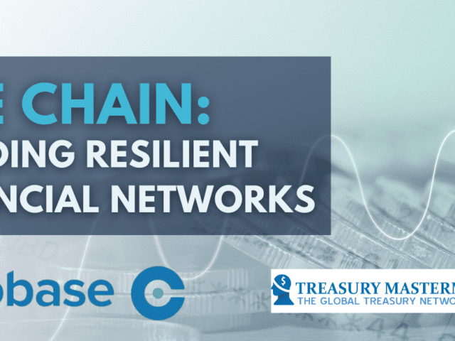 The Chain: Building resilient financial networks