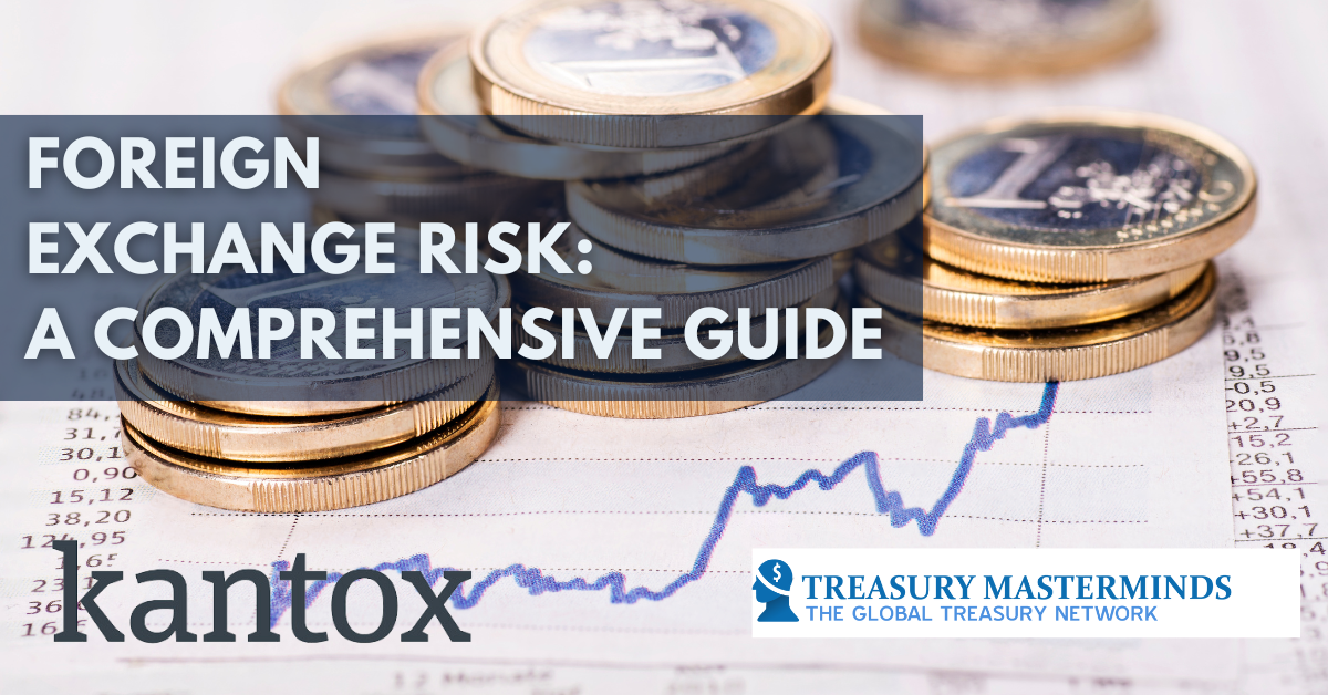 Foreign Exchange Risk: A Comprehensive Guide