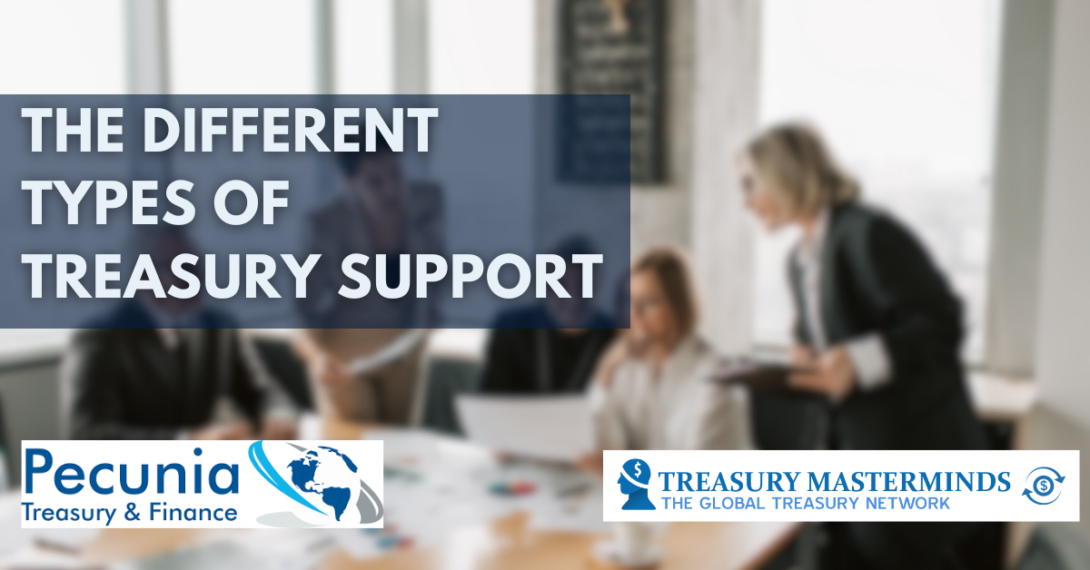 The Different Types of Treasury Support: Comparing Interim, Fractional, and Consultancy Roles