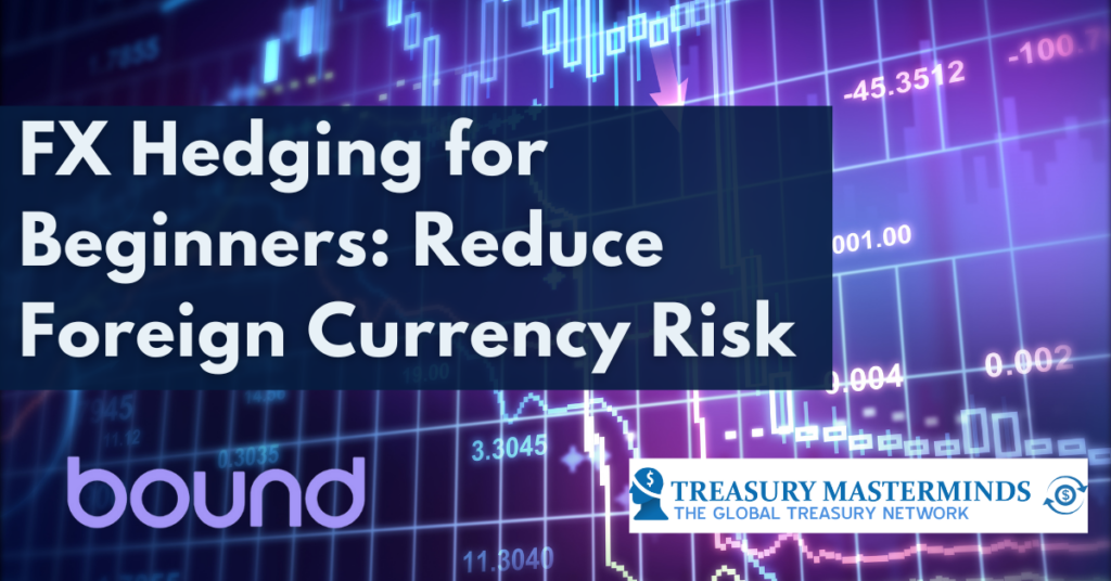 FX Hedging for Beginners: Reduce Foreign Currency Risk