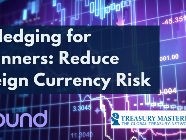 FX Hedging for Beginners: Reduce Foreign Currency Risk
