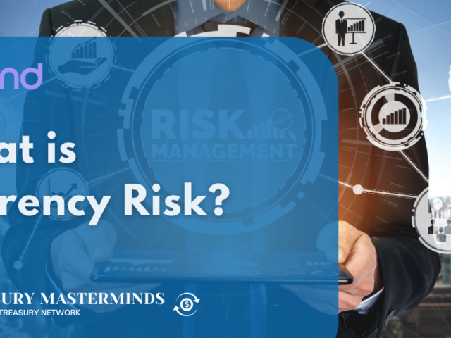 What is Currency Risk?