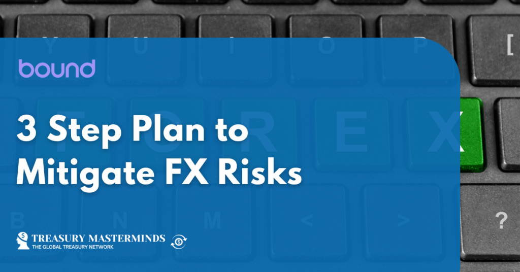 3 Step Plan to Mitigate FX Risks