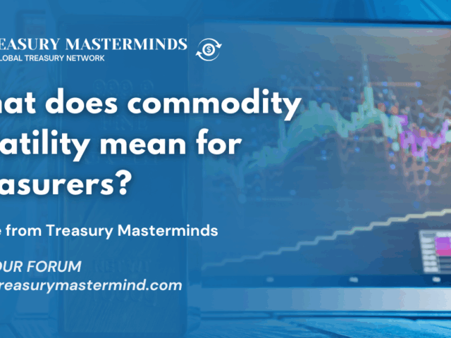What does commodity volatility mean for treasurers?