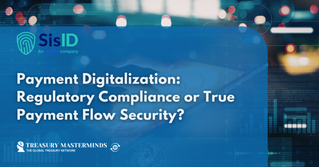 Payment Digitalization: Regulatory Compliance or True Payment Flow Security?