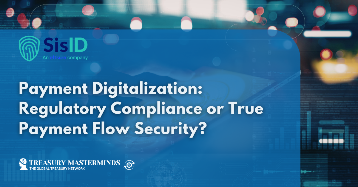 Payment Digitalization: Regulatory Compliance or True Payment Flow Security?
